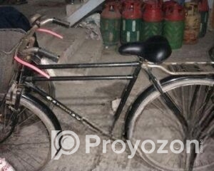 fitted-28_2025-08-12_09-46-58