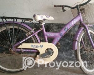 fitted-29_2025-08-12_09-49-11