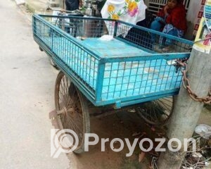 fitted-29_2025-08-16_10-47-53