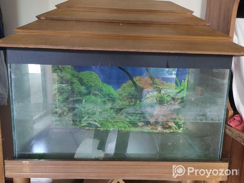 Aquarium 2.5 Fit