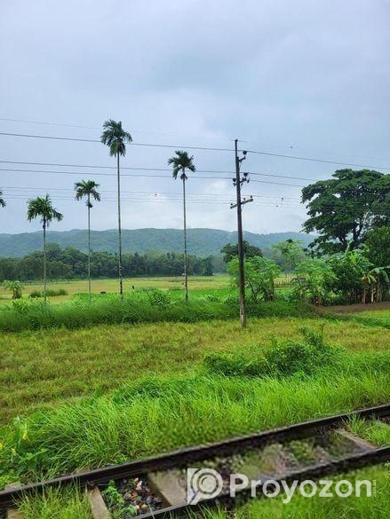 মানুষের প্রতিকৃতি জলরঙ এ এঁকে দেয়া হয়