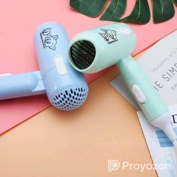Fashion Hair Dryar