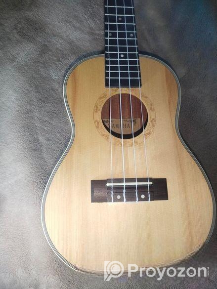 Yamaha Uk24 ইউকেলে