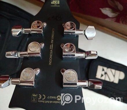 Esp Ltd Ec 50 Guitar