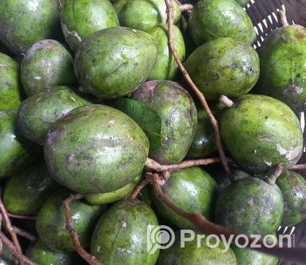 আমড়া