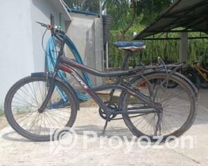 fitted-31_2025-08-12_09-51-58