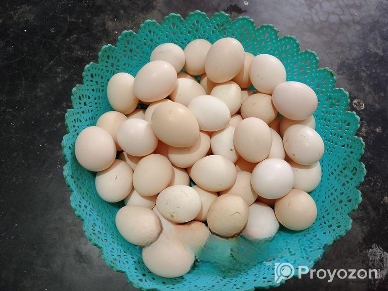 Egg sell