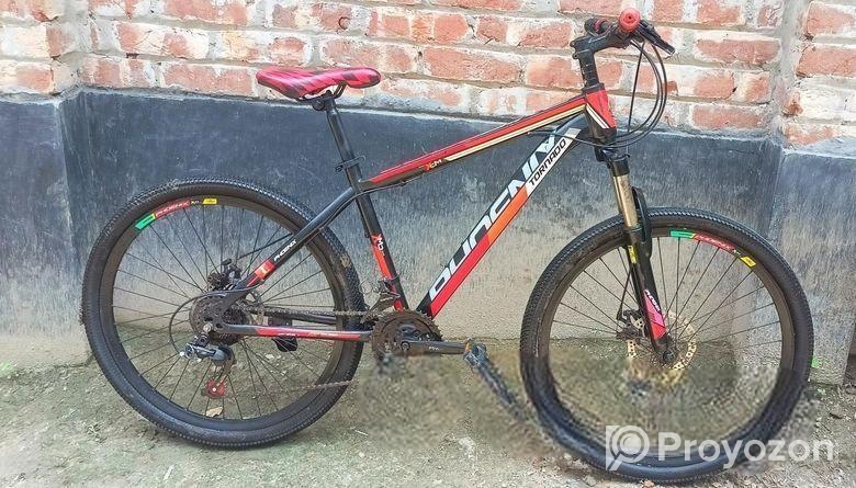 phoneix bicicle