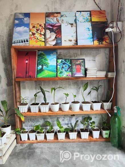 Indoor Plant’s