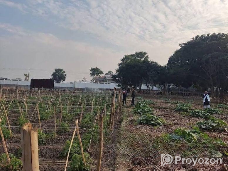 plot sell