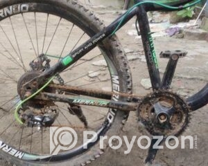 fitted-34_2025-08-14_11-57-48