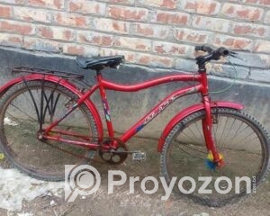 fitted-34_2025-08-16_10-09-29