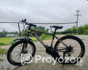 fitted-35_2025-08-10_09-47-02