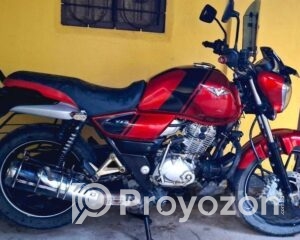 fitted-35_2025-08-10_10-16-44