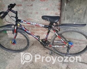 fitted-35_2025-08-18_10-39-55