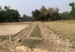 ৮৬০০০ স্কয়ারফিট এগ্রোবেইজ জমি ভাড়া শ্রীপুরে