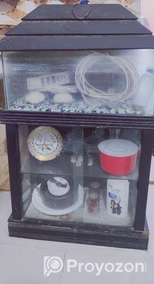 Fish aquarium