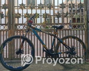 fitted-36_2025-08-12_10-03-18