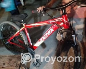 fitted-36_2025-08-16_10-14-07