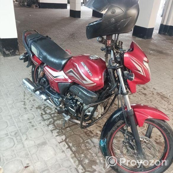Runner Royal Plus 2019
