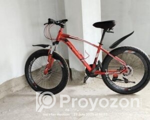 fitted-38_2025-08-12_10-05-32