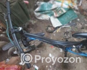 fitted-38_2025-08-14_12-07-20