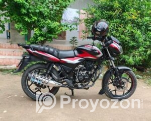 fitted-38_2025-08-16_10-19-39