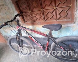 fitted-38_2025-08-18_10-46-42