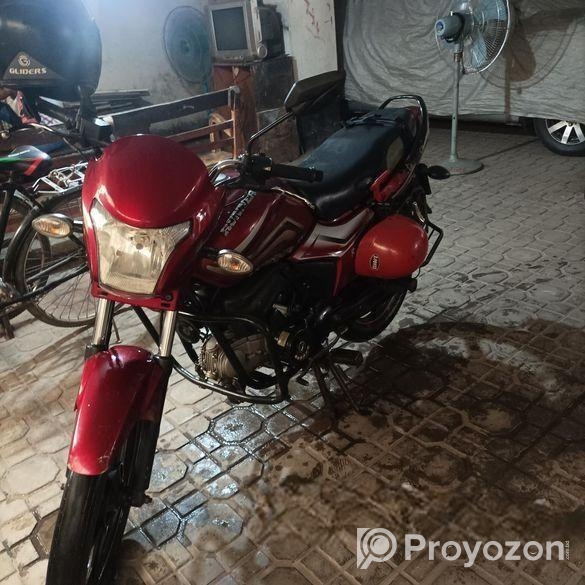 Runner Royal Plus 2019