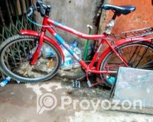 fitted-39_2025-08-12_10-07-34