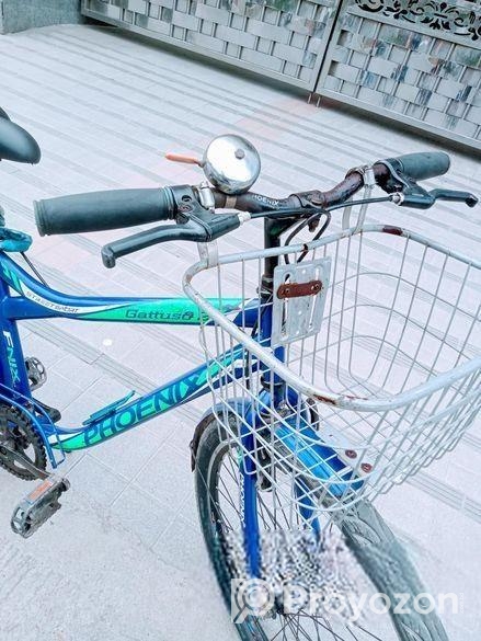 Cycle for sale
