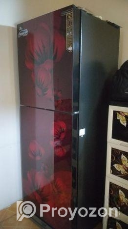 Refrigerator Walton