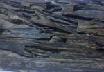 Agarwood Chips