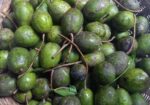 আমড়া