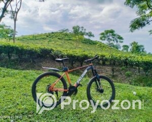 fitted-40_2025-08-10_10-26-40