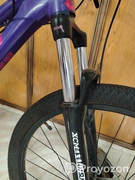 boarse sun 6.1 custom build bicycle