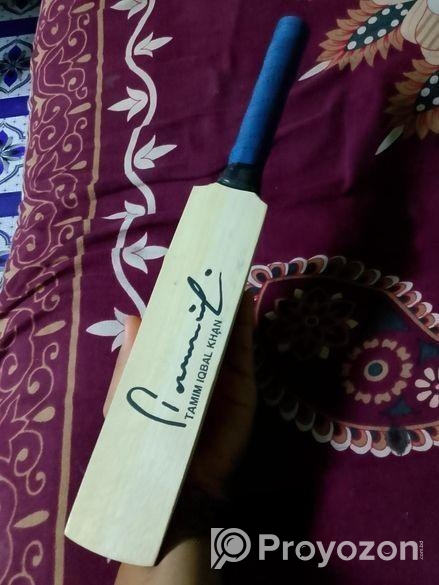 Cricket bat