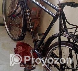 fitted-42_2025-08-14_10-53-18