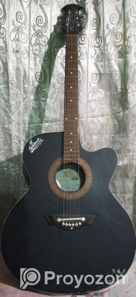 Signature Guitar