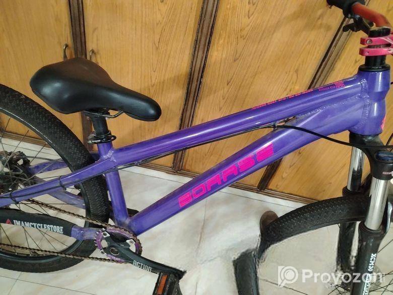 boarse sun 6.1 custom build bicycle