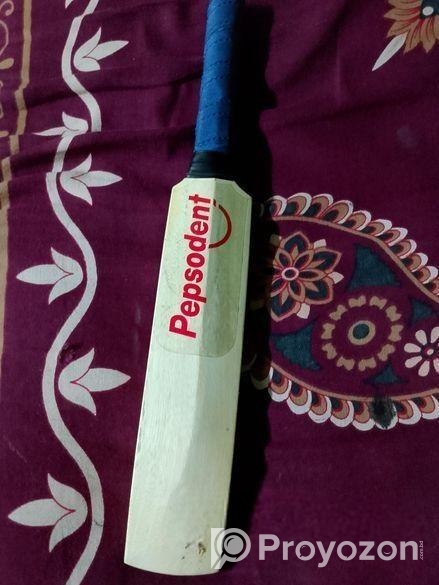 Cricket bat