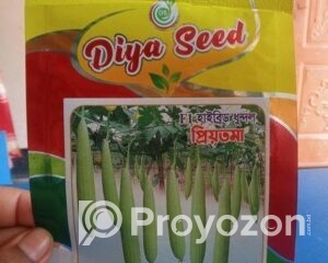 fitted-43_2025-08-12_10-12-11