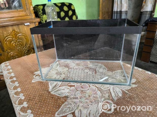 Aquarium Tank
