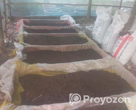 কেচোঁ ভার্মি কপপোসট জৈব সার