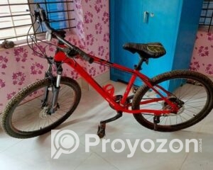 fitted-47_2025-08-03_17-36-53