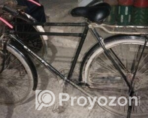 fitted-48_2025-08-14_11-04-06