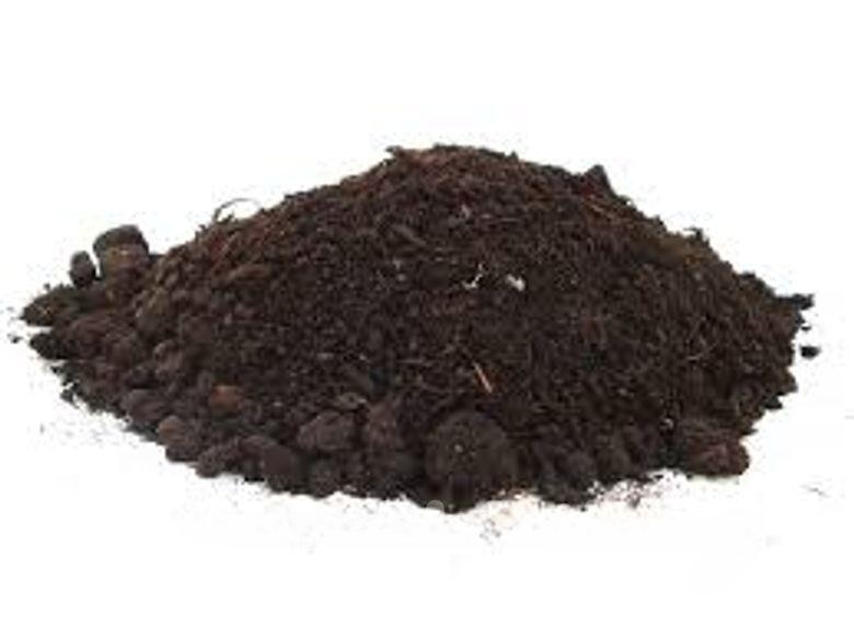 ভার্মিকম্পোস্ট সার কেঁচো