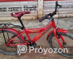 fitted-4_2025-08-11_09-38-25