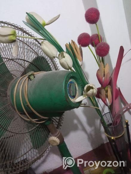J.f.g Fan