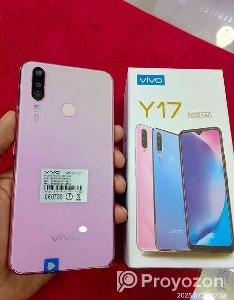 Vivo Y17 8/256 (Used)